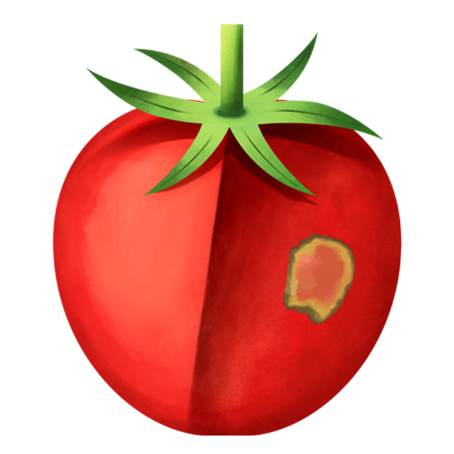 Flecken Tomate 1
