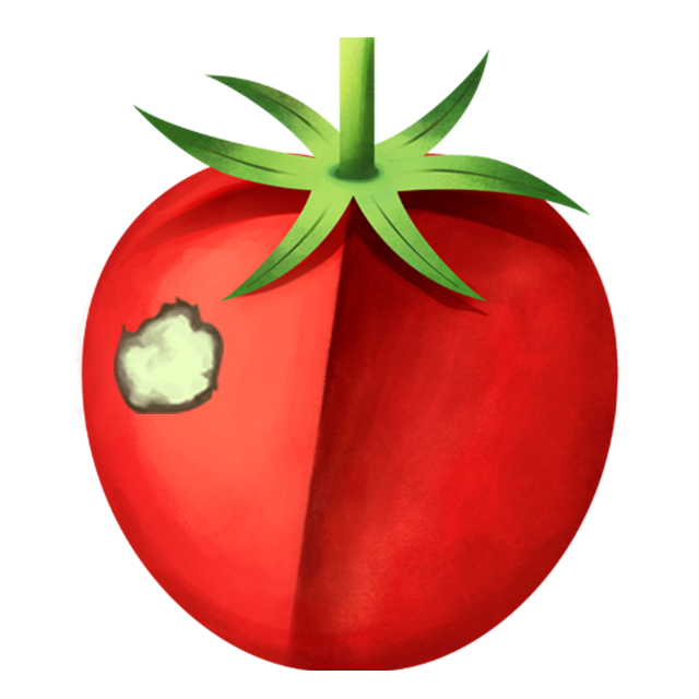 Flecken Tomate 4