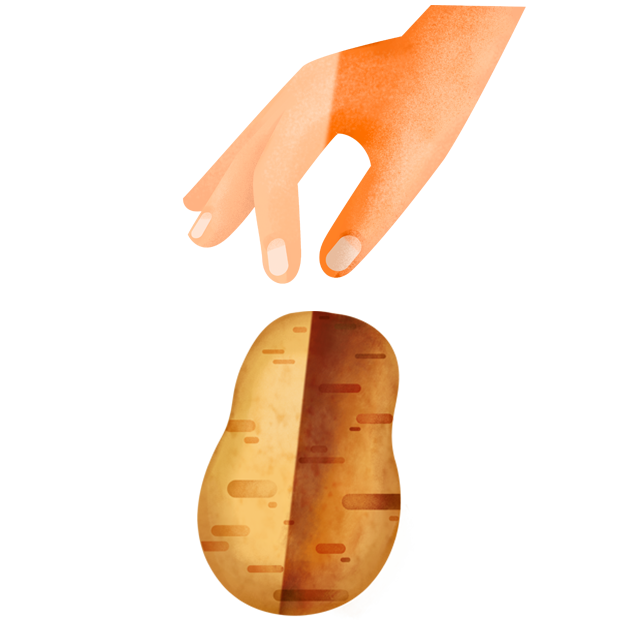 Hand pflu╠êckt Kartoffel